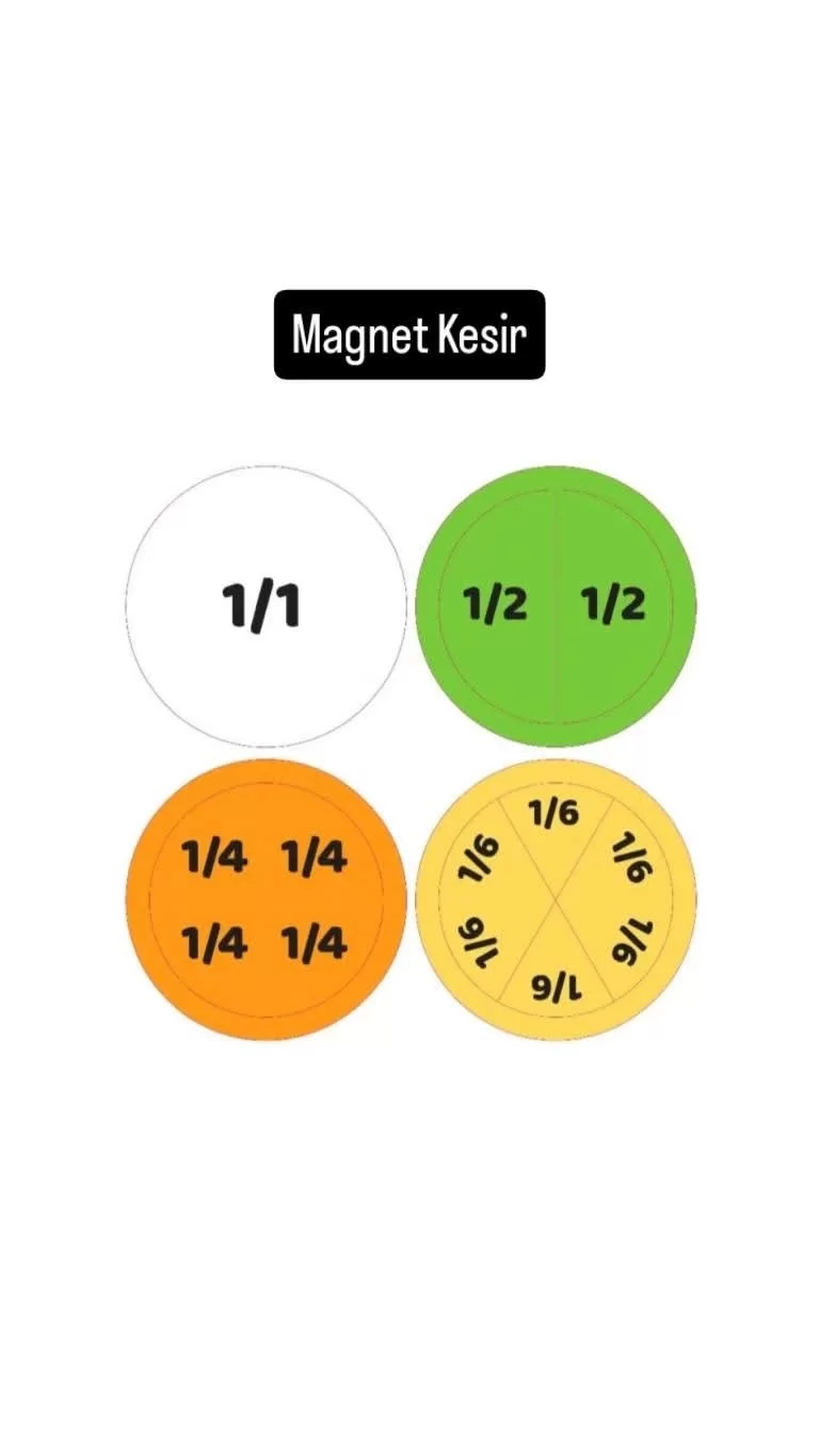 3 Takım Magnet Kesir Seti ( Bütün-Yarım-Çeyrek)